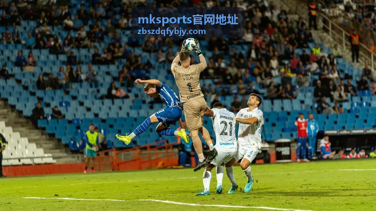 mksports官网地址移动端页面适配说明配图