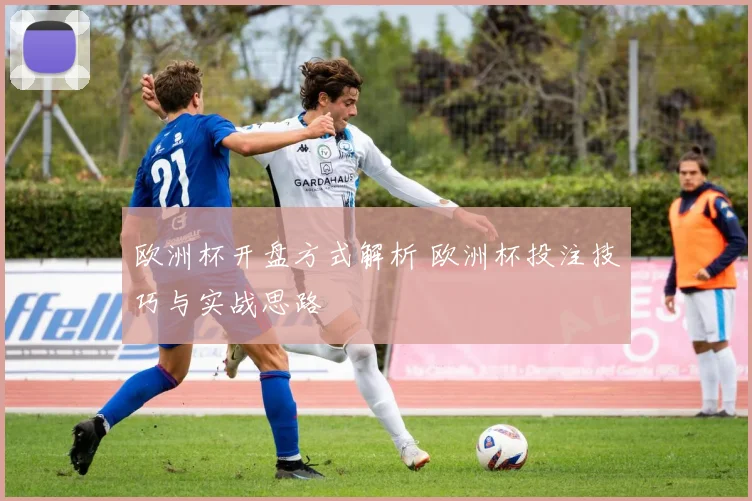 欧洲杯开盘方式解析 欧洲杯投注技巧与实战思路
