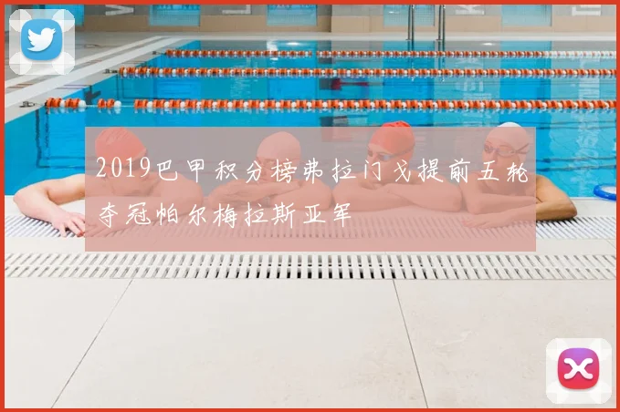 2019巴甲积分榜弗拉门戈提前五轮夺冠帕尔梅拉斯亚军