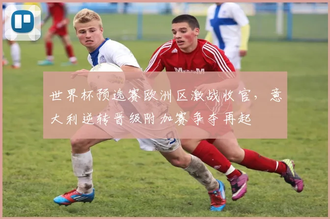 世界杯预选赛欧洲区激战收官，意大利逆转晋级附加赛争夺再起